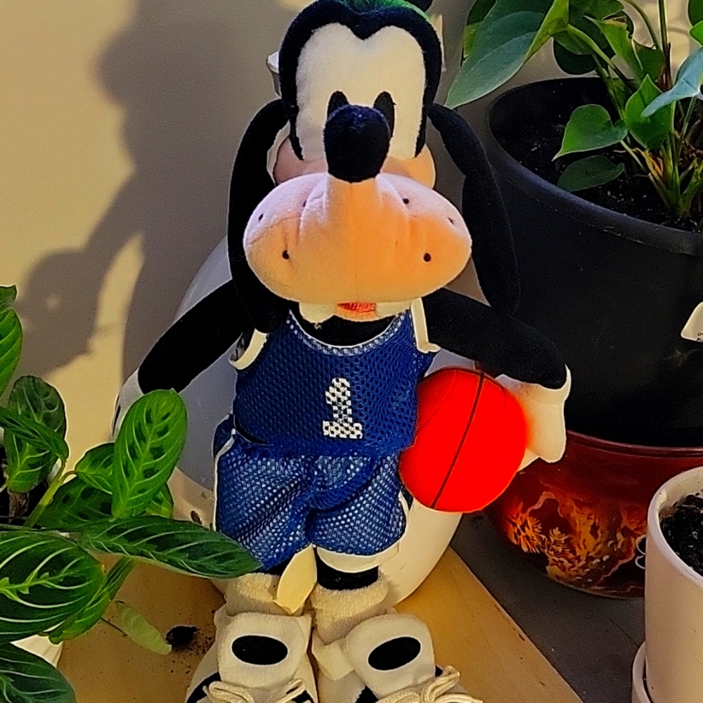 Goofy toy